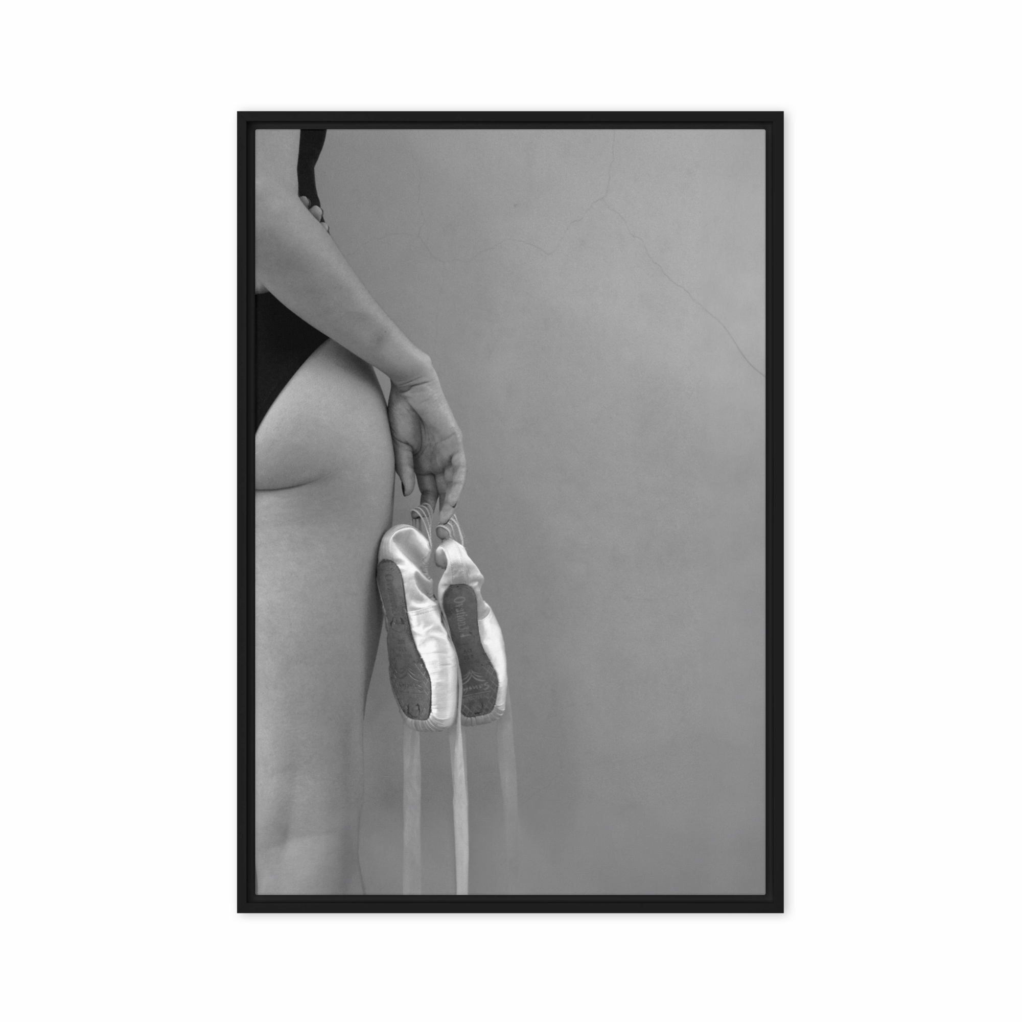 Canvas - Ballet shoes