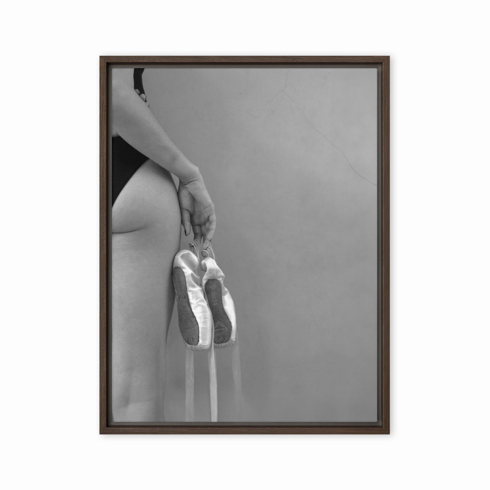 Canvas - Ballet shoes canvas mural art
