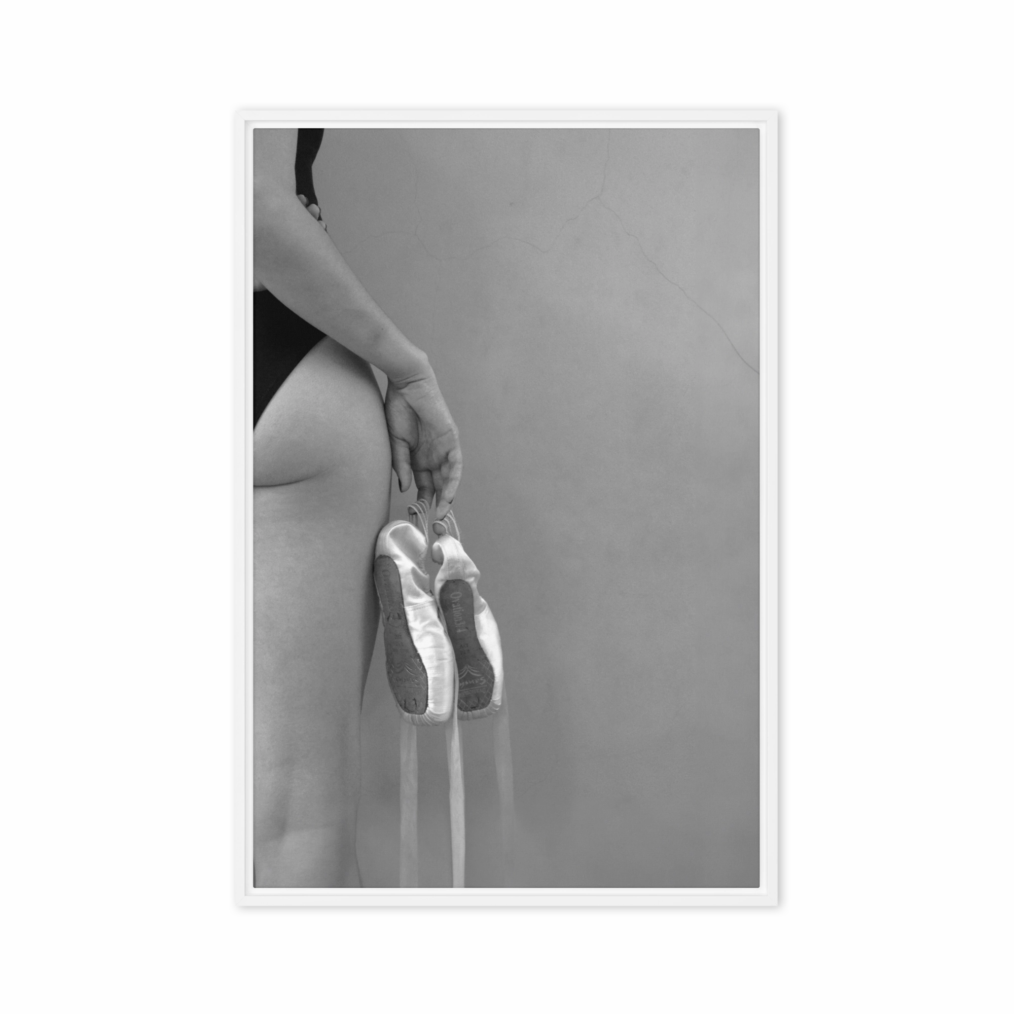 Canvas - Ballet shoes