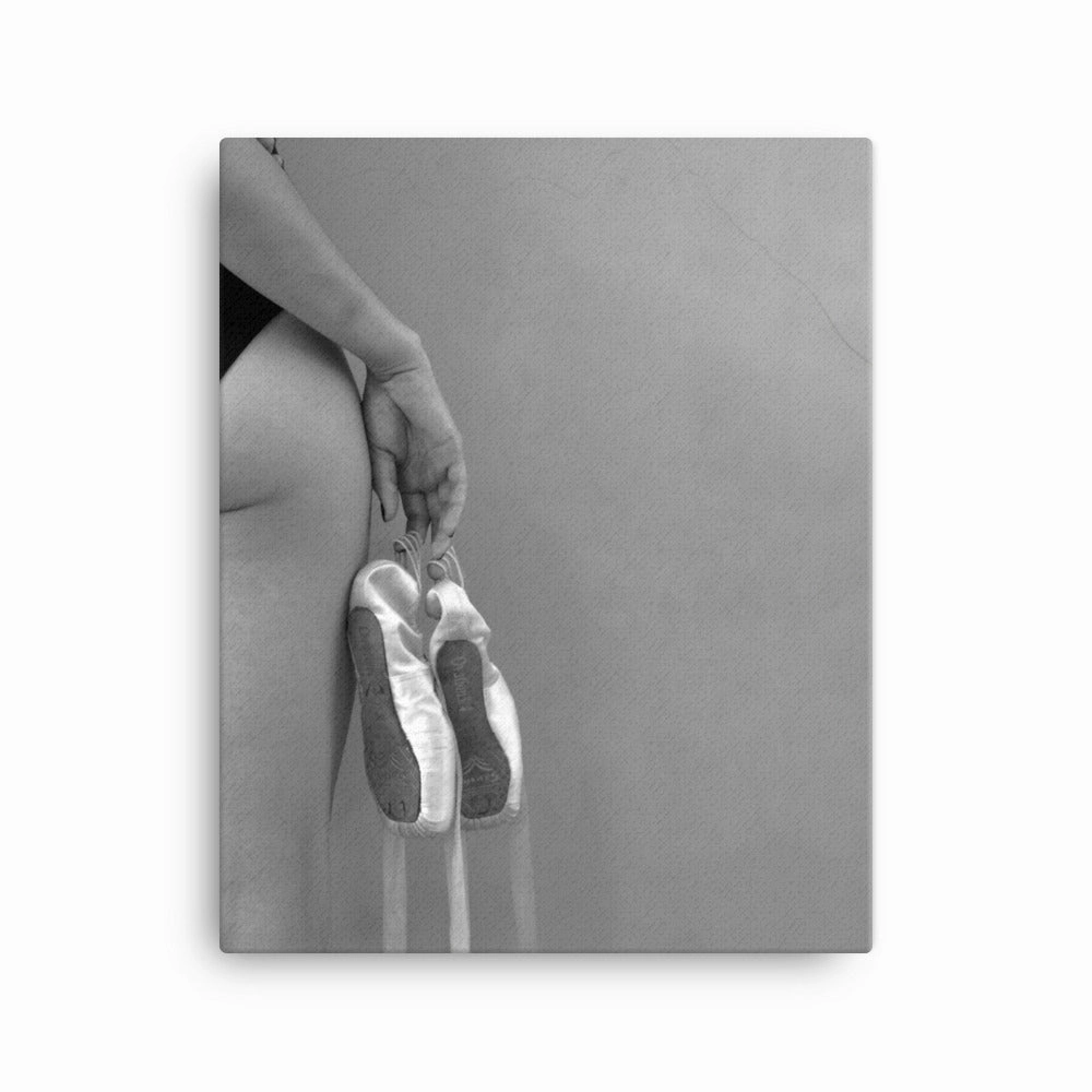 Canvas - Ballet shoes