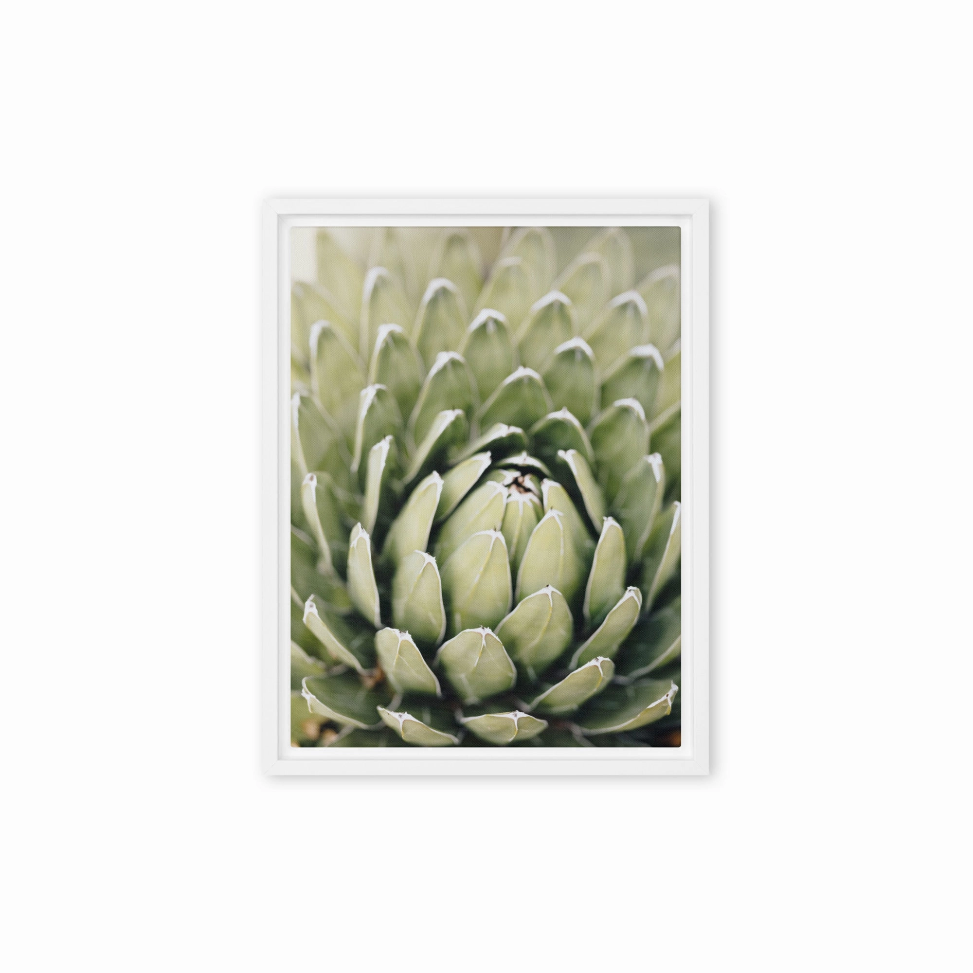 Canvas - Cactus Flower II