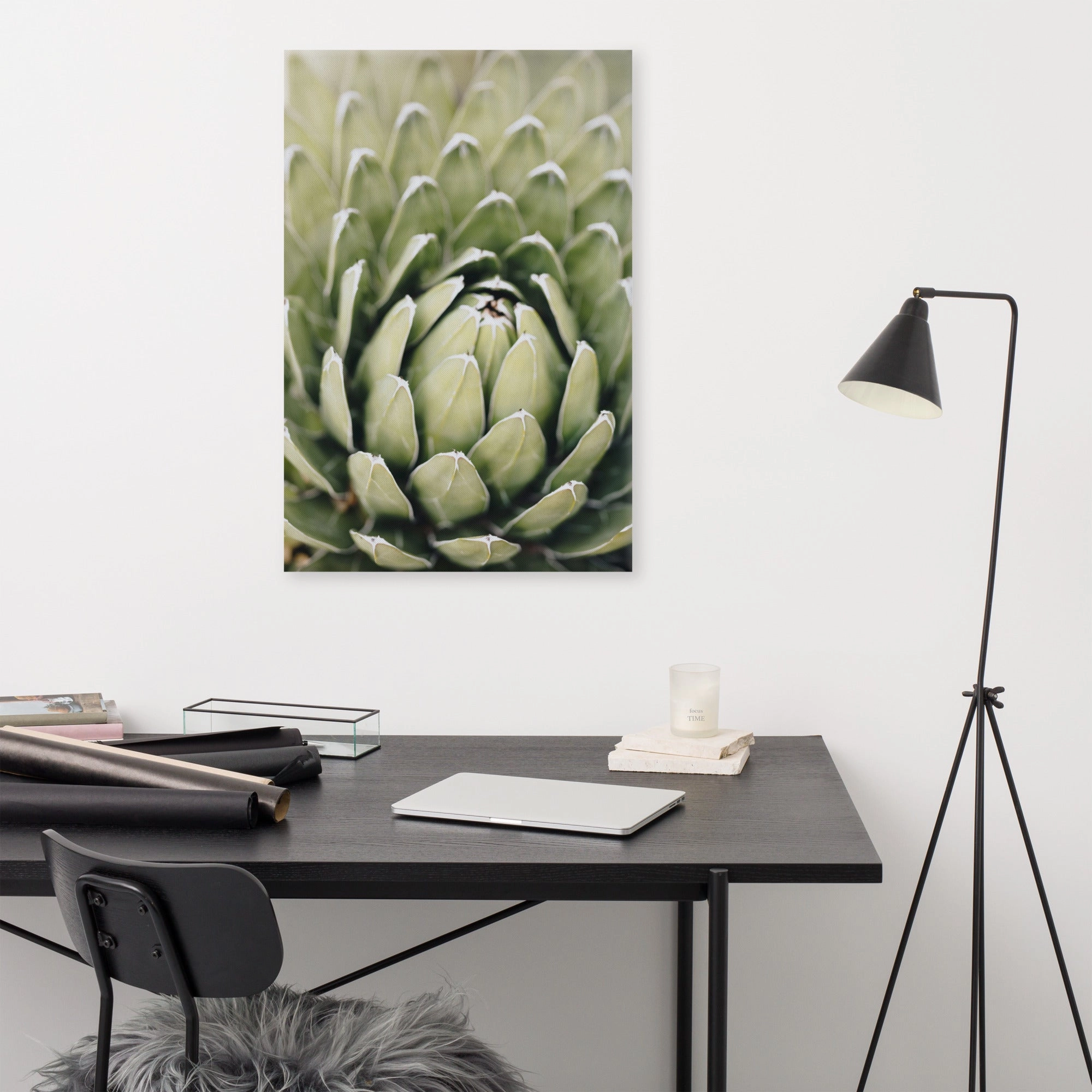 Canvas - Cactus Flower II