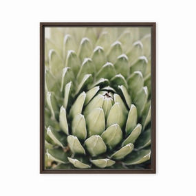 Canvas - Cactus Flower II canvas mural art