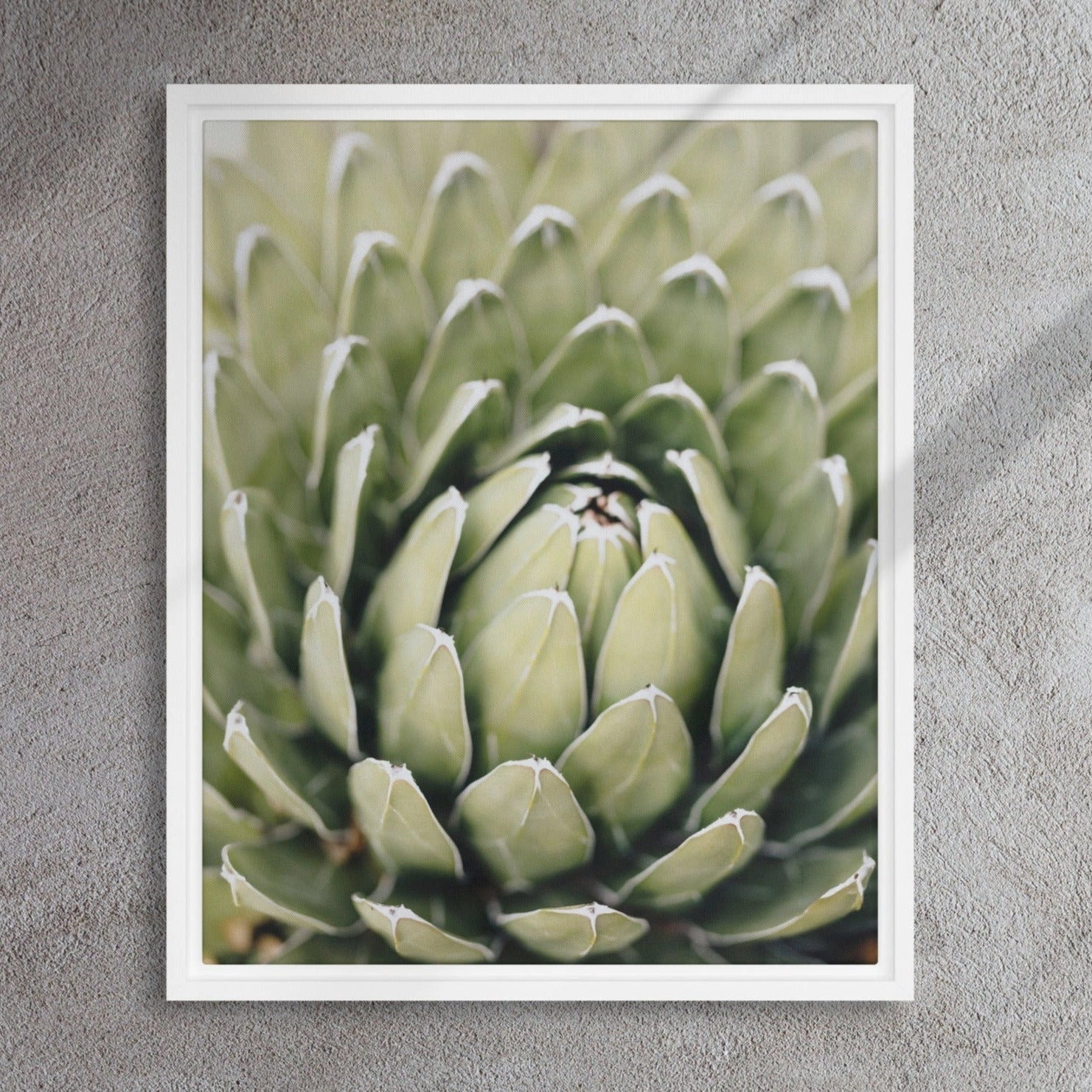 Canvas - Cactus Flower II