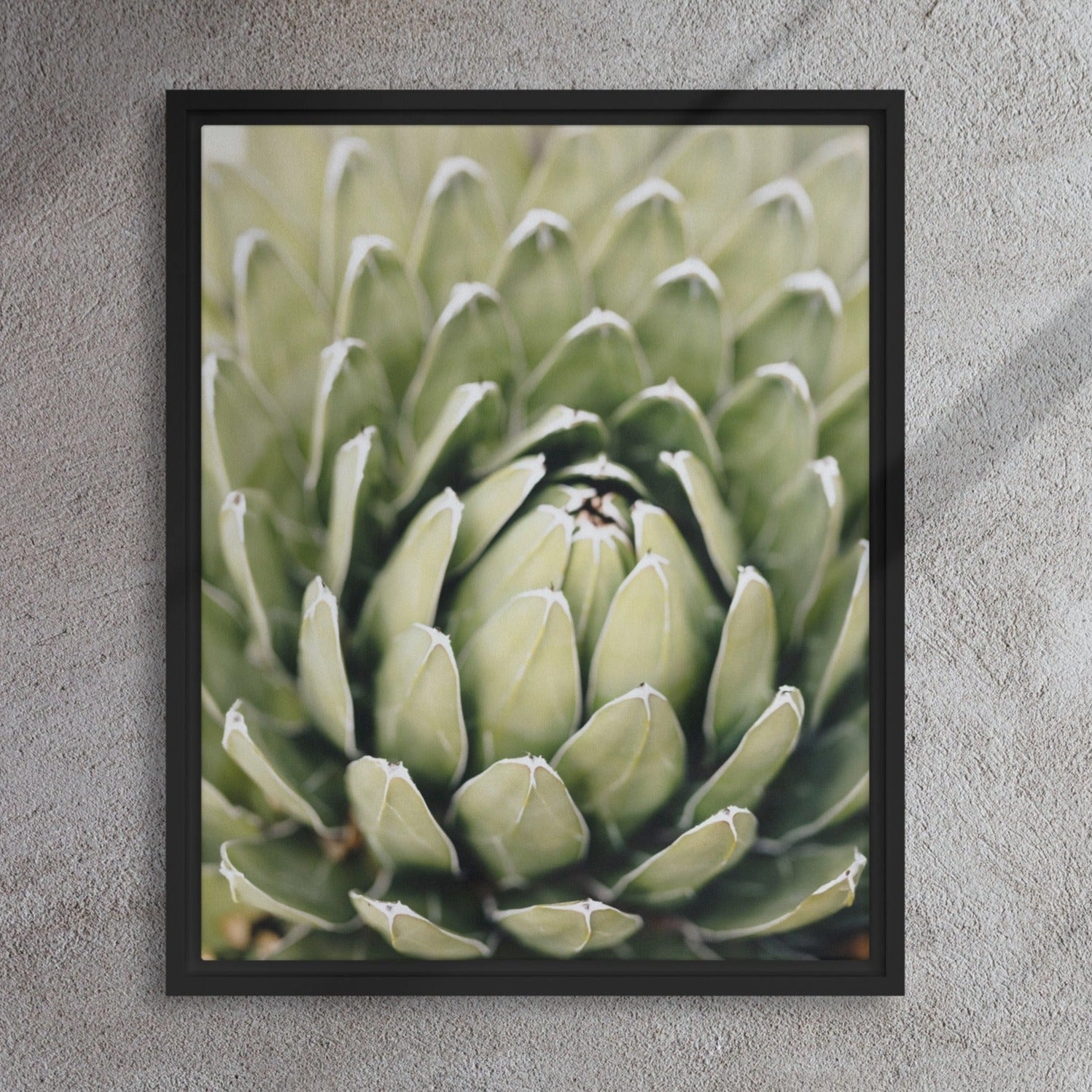 Canvas - Cactus Flower II