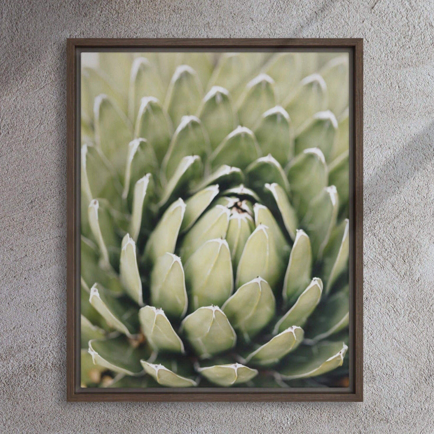Canvas - Cactus Flower II