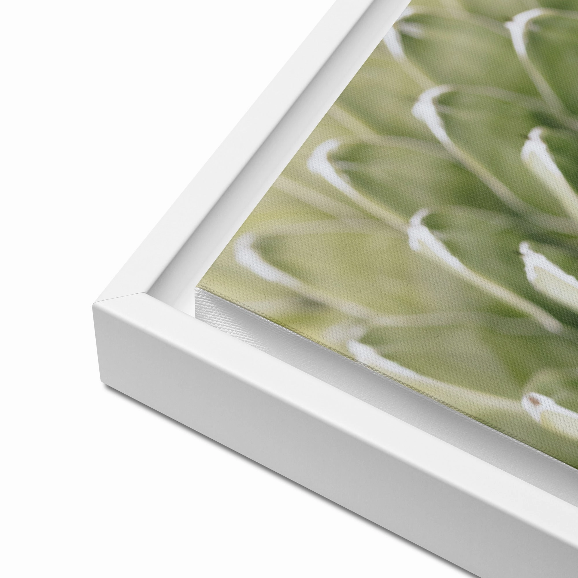 Canvas - Cactus Flower II