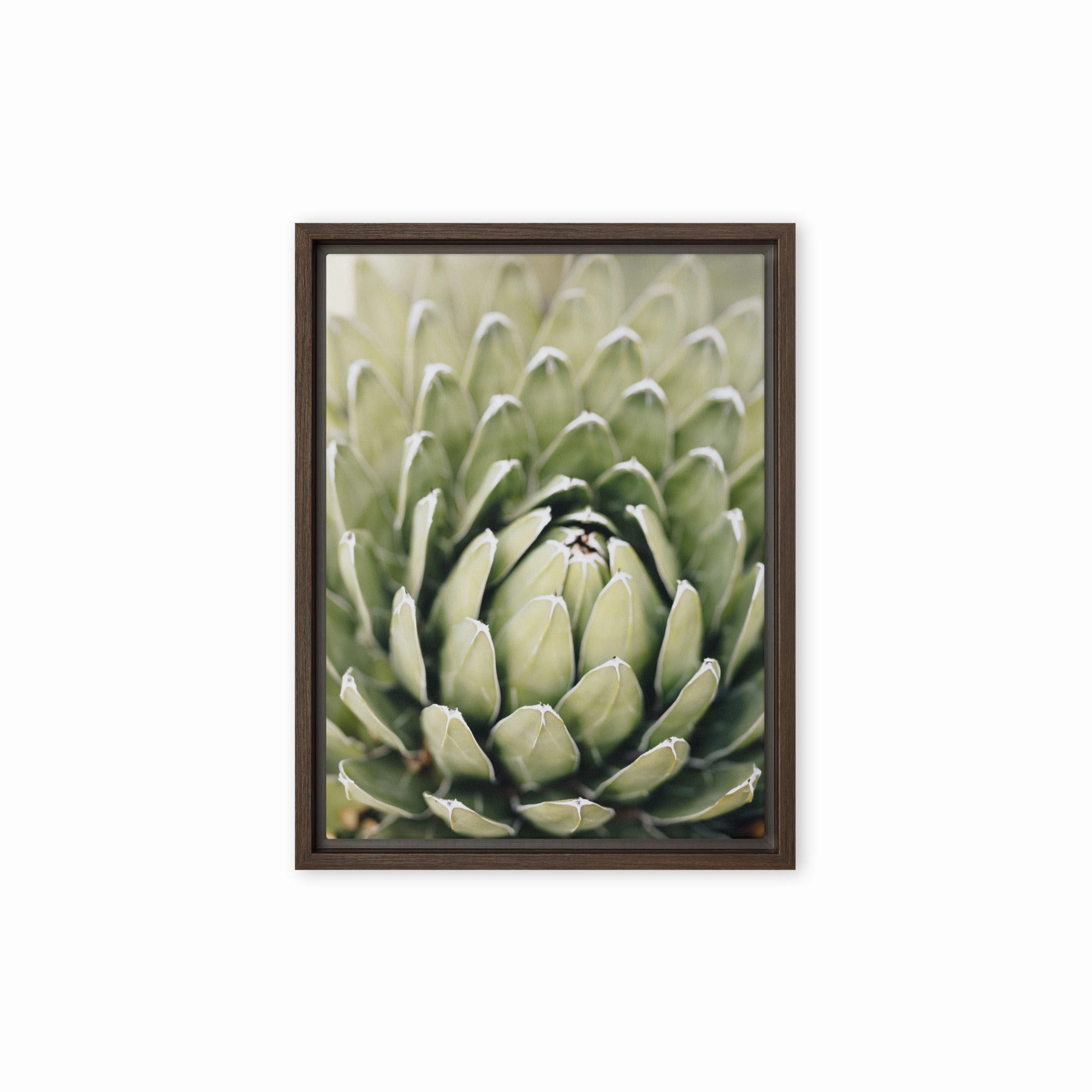 Canvas - Cactus Flower II