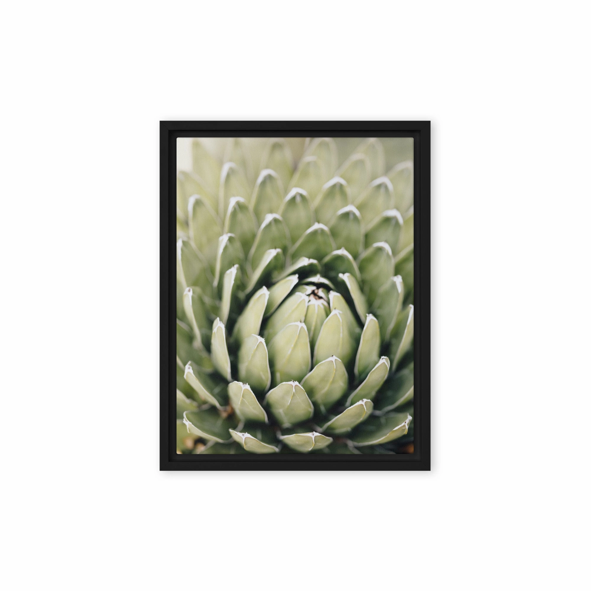 Canvas - Cactus Flower II