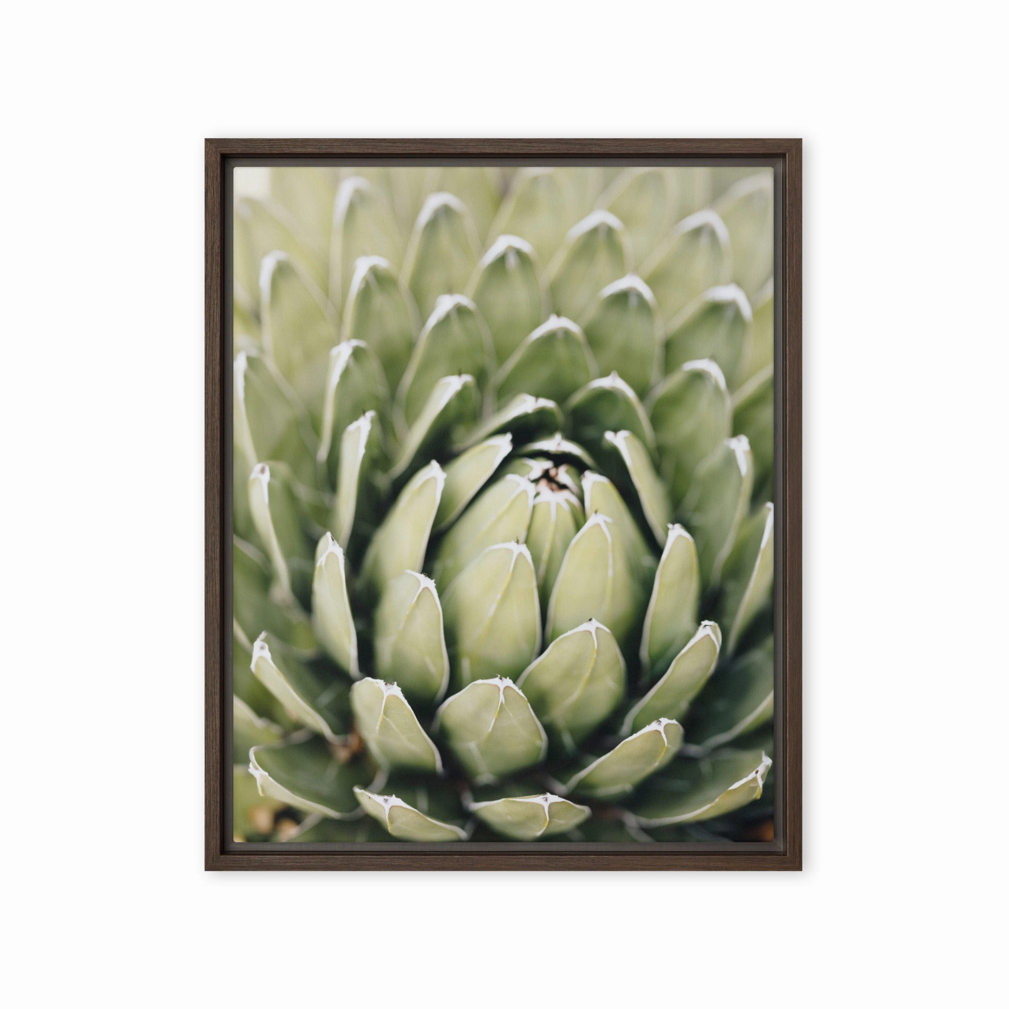 Canvas - Cactus Flower II