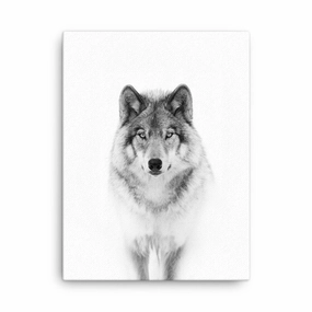 Canvas - Calm Wolf canvas mural art