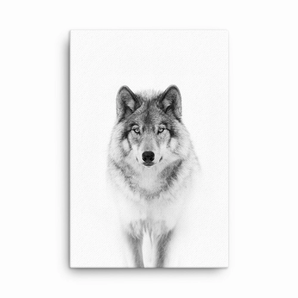 Canvas - Calm Wolf