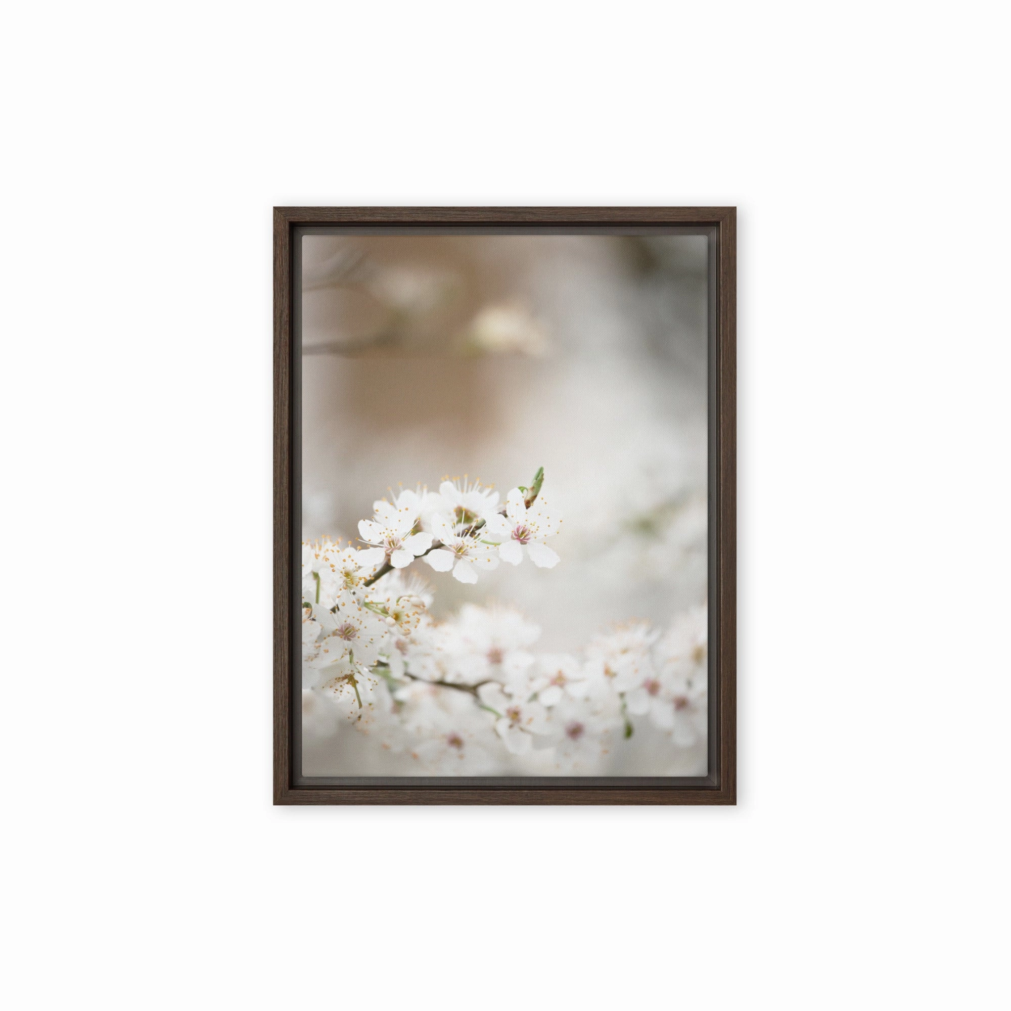 Canvas - Cherry Blossoms