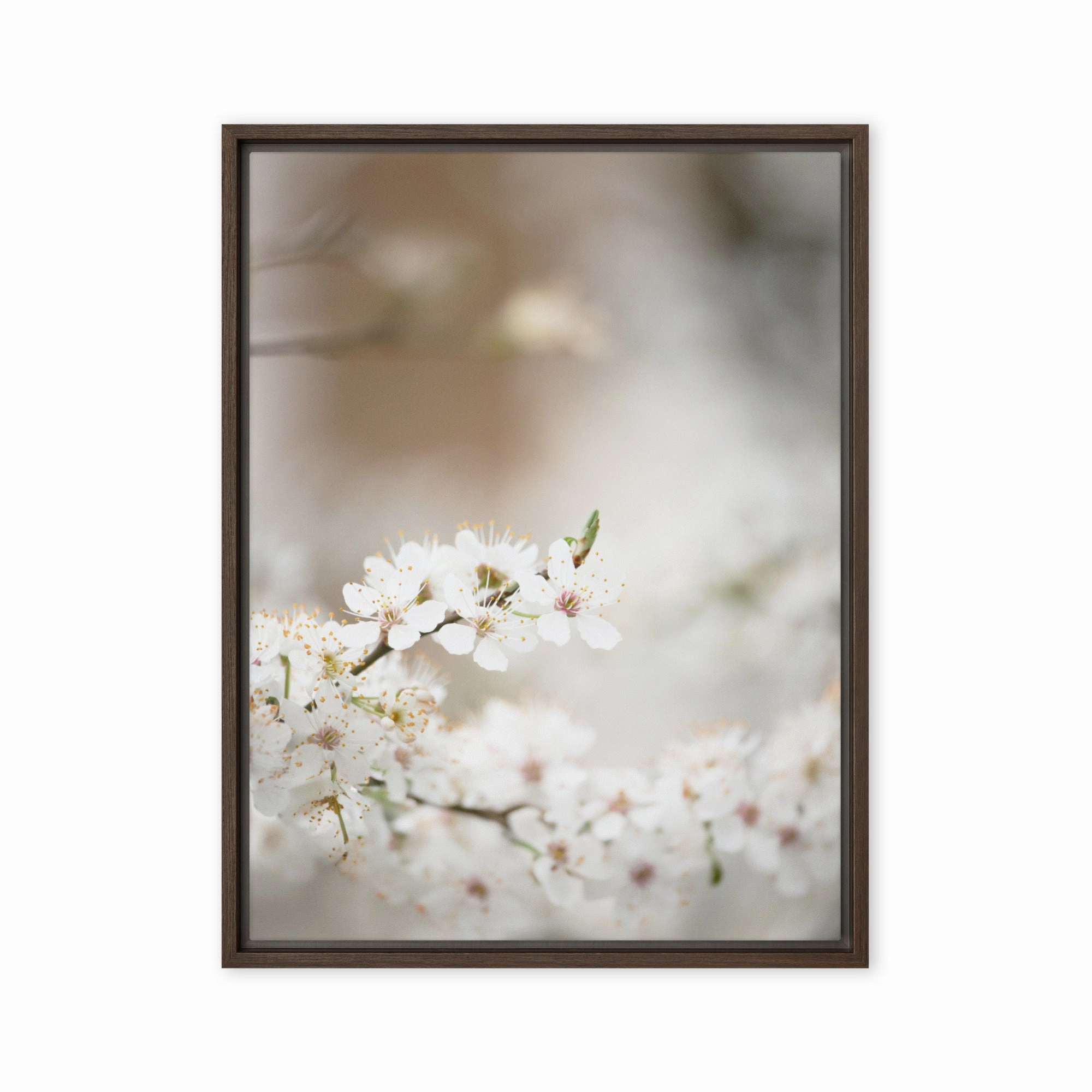Canvas - Cherry Blossoms canvas mural art