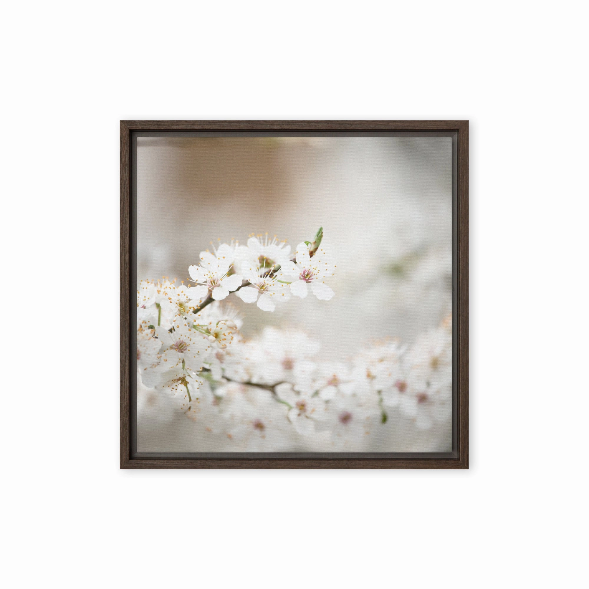 Canvas - Cherry Blossoms