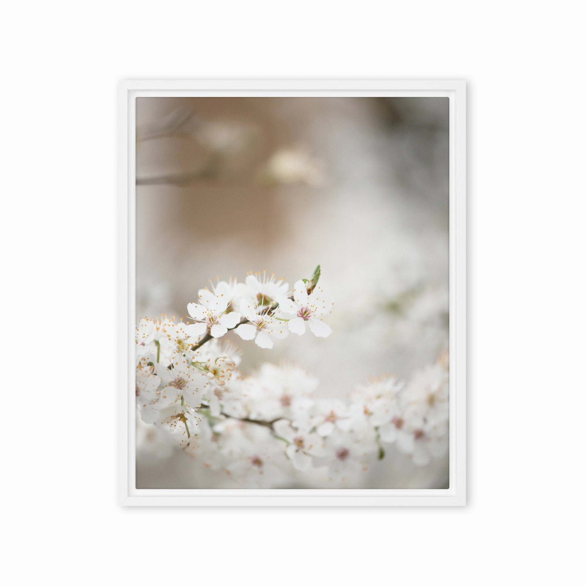 Canvas - Cherry Blossoms