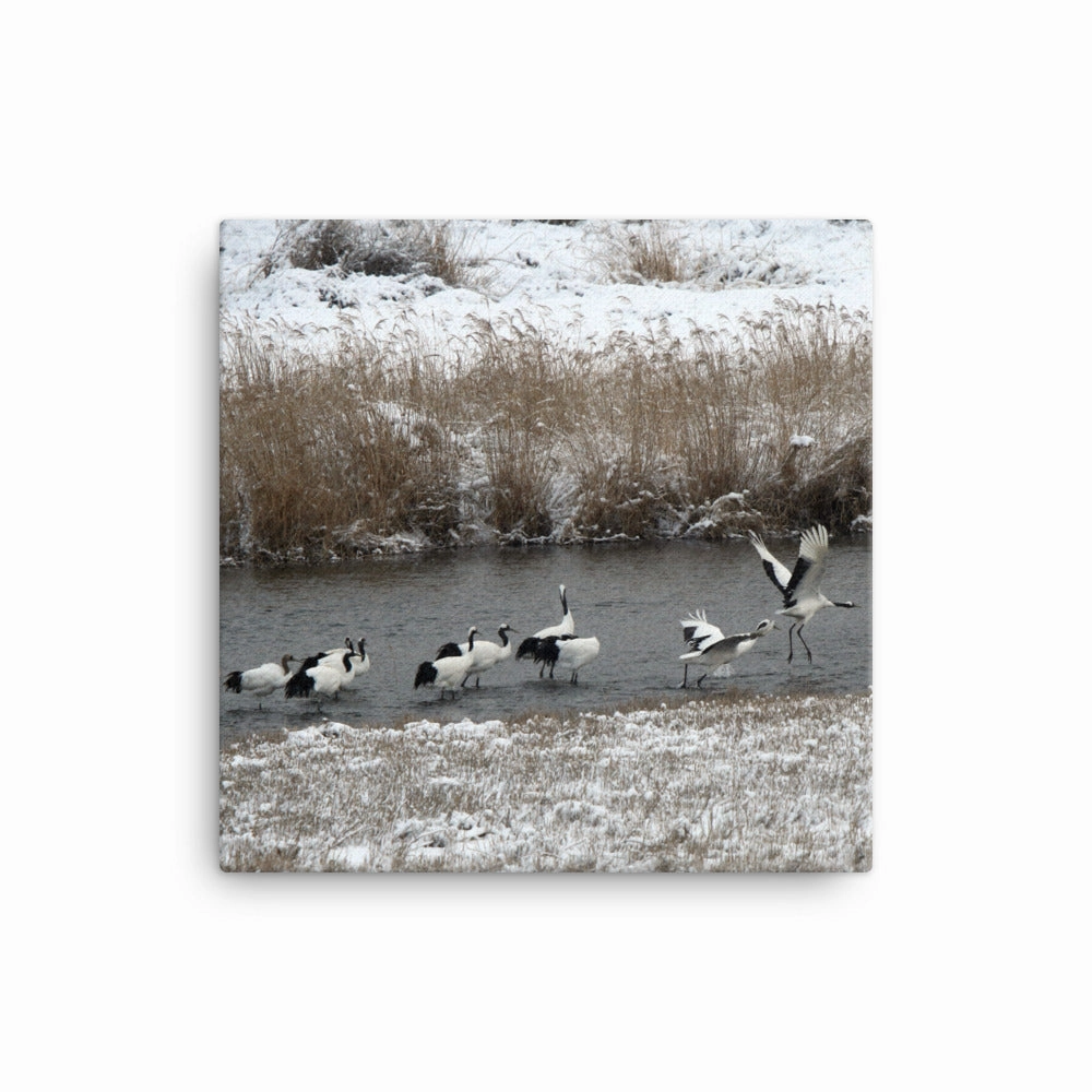 Canvas - Cranes in Hantangang