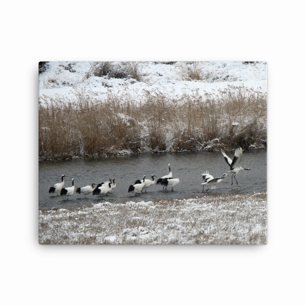 Canvas - Cranes in Hantangang