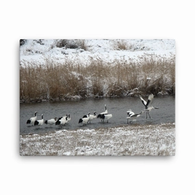 Canvas - Cranes in Hantangang canvas mural art
