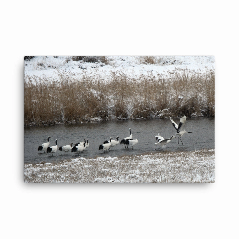 Canvas - Cranes in Hantangang