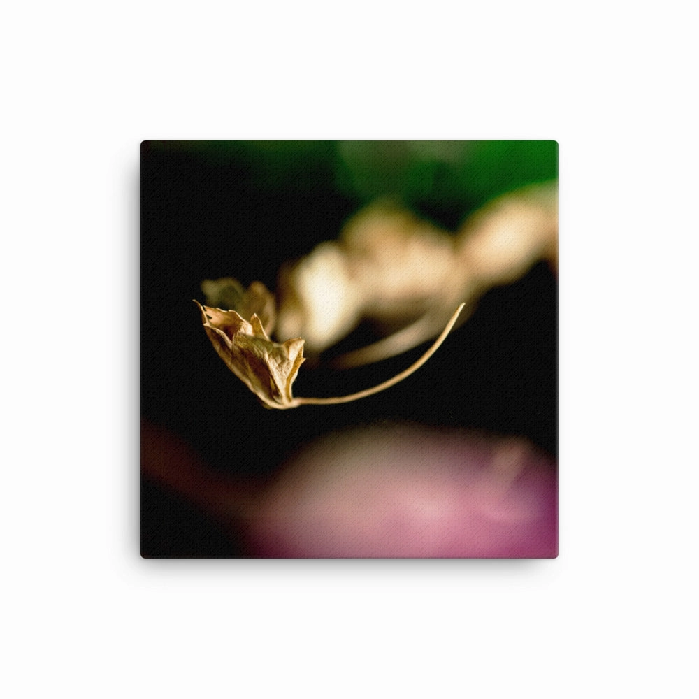 Canvas - Falling Leaf