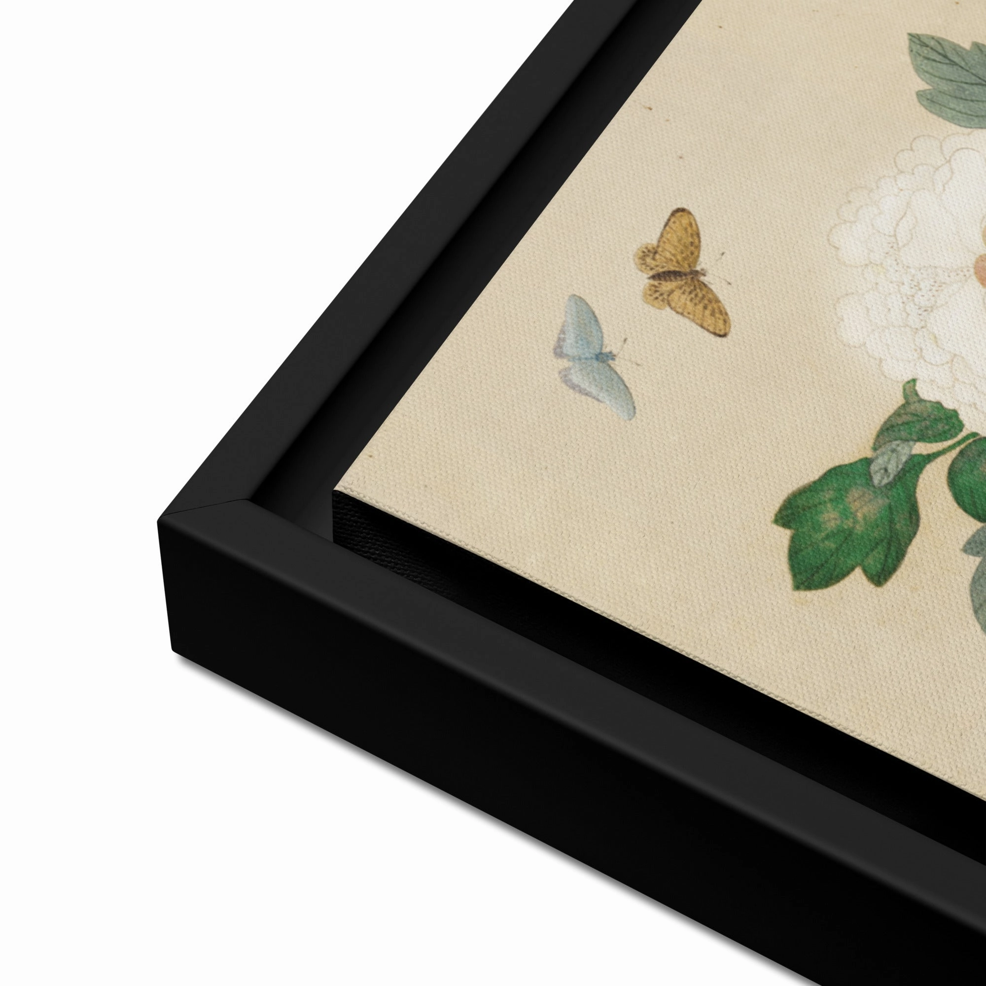Canvas - Flowers and Butterflies