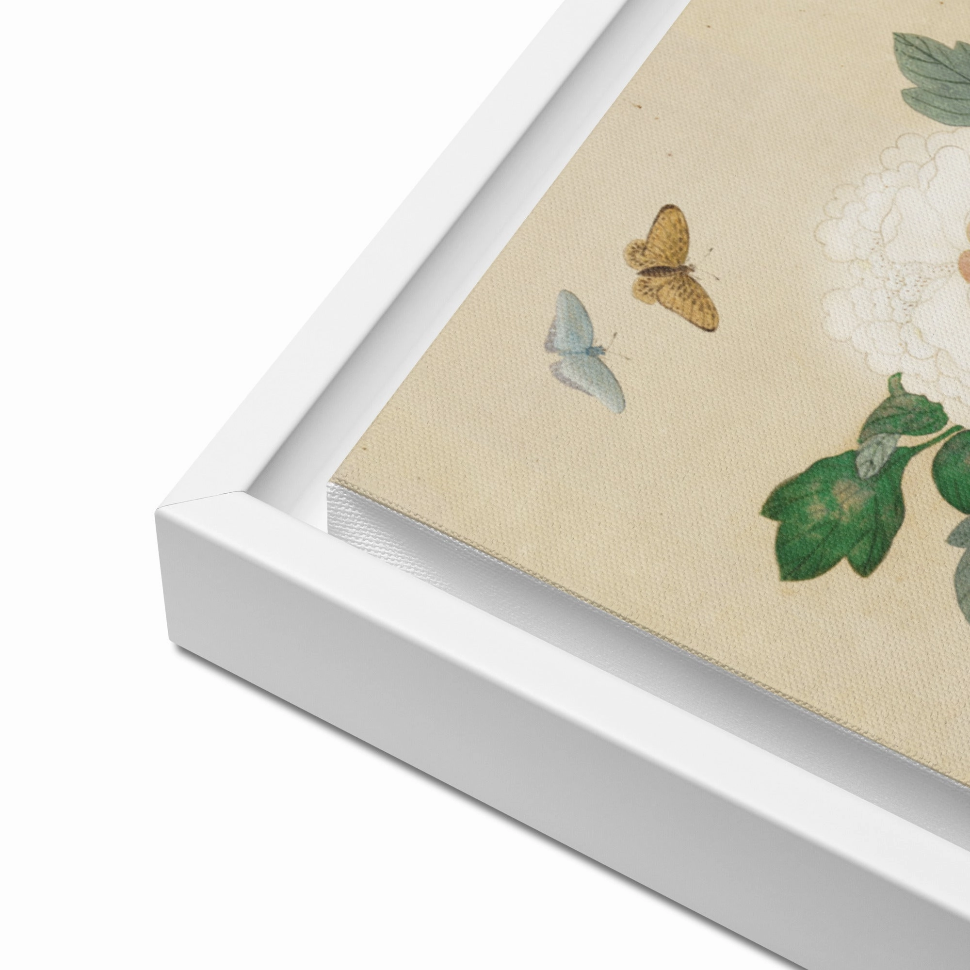 Canvas - Flowers and Butterflies