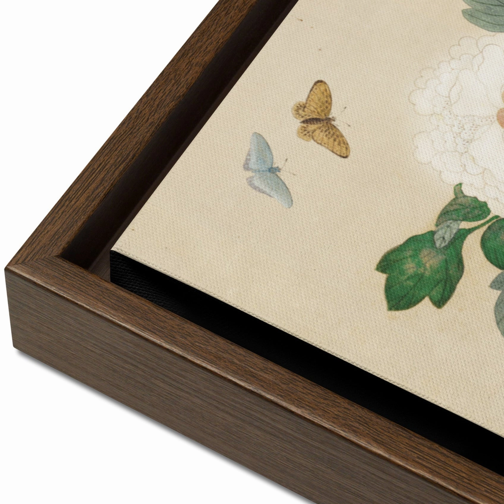 Canvas - Flowers and Butterflies
