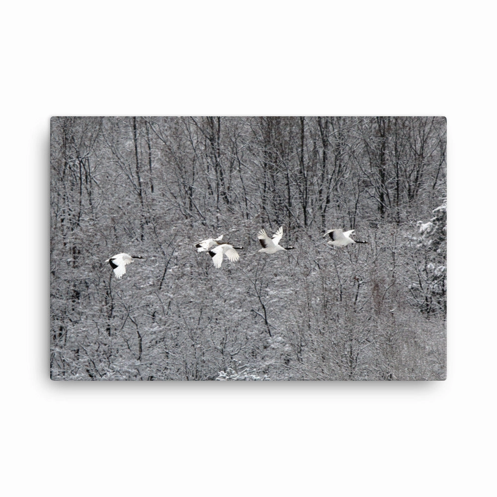 Canvas - flying crane family