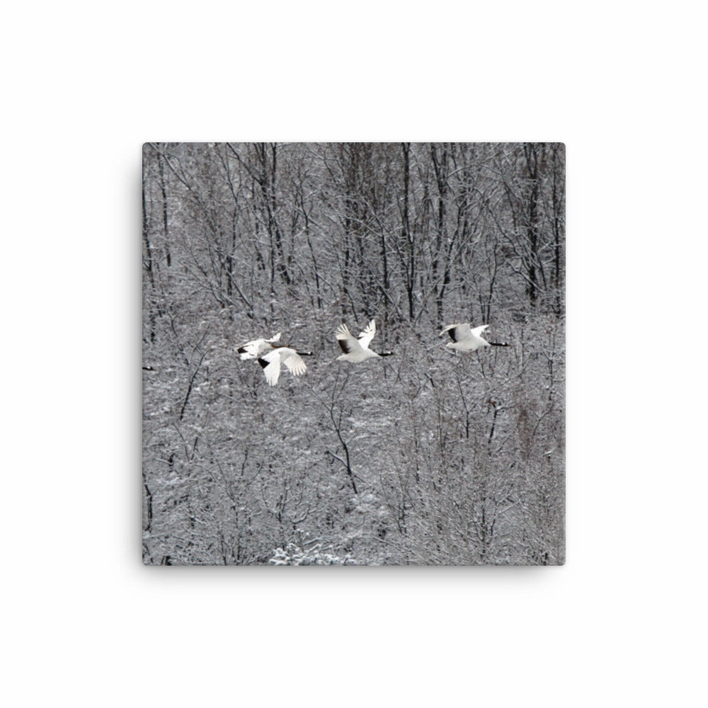 Canvas - flying crane family