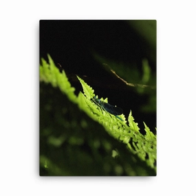 Canvas - Green Dragonfly canvas mural art
