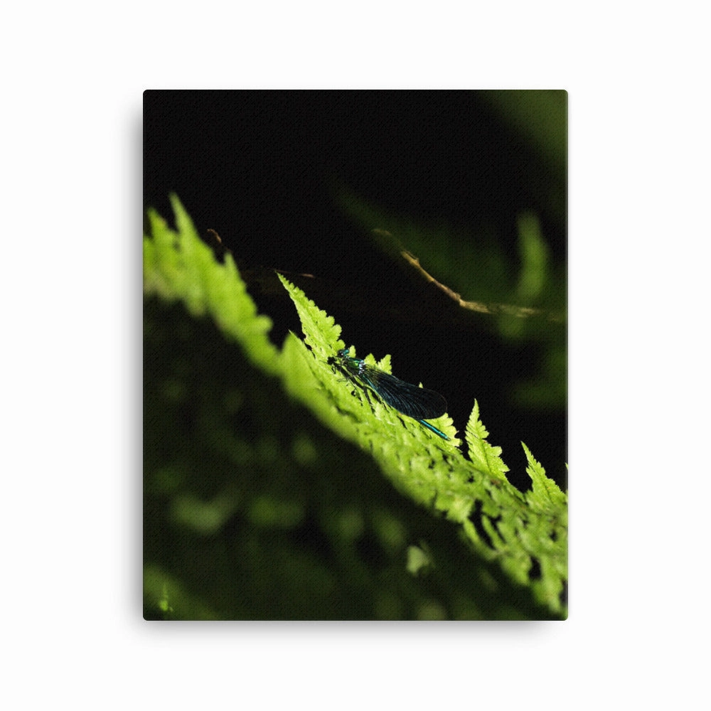 Canvas - Green Dragonfly
