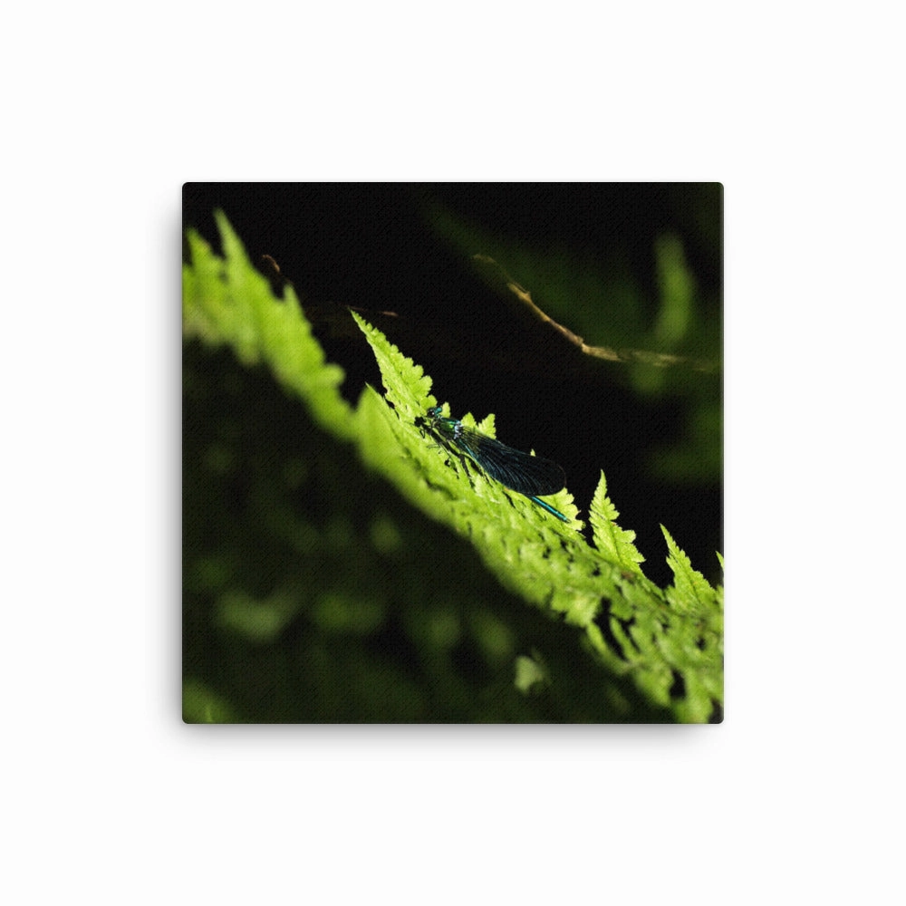 Canvas - Green Dragonfly