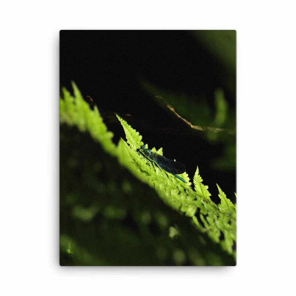Canvas - Green Dragonfly canvas mural art