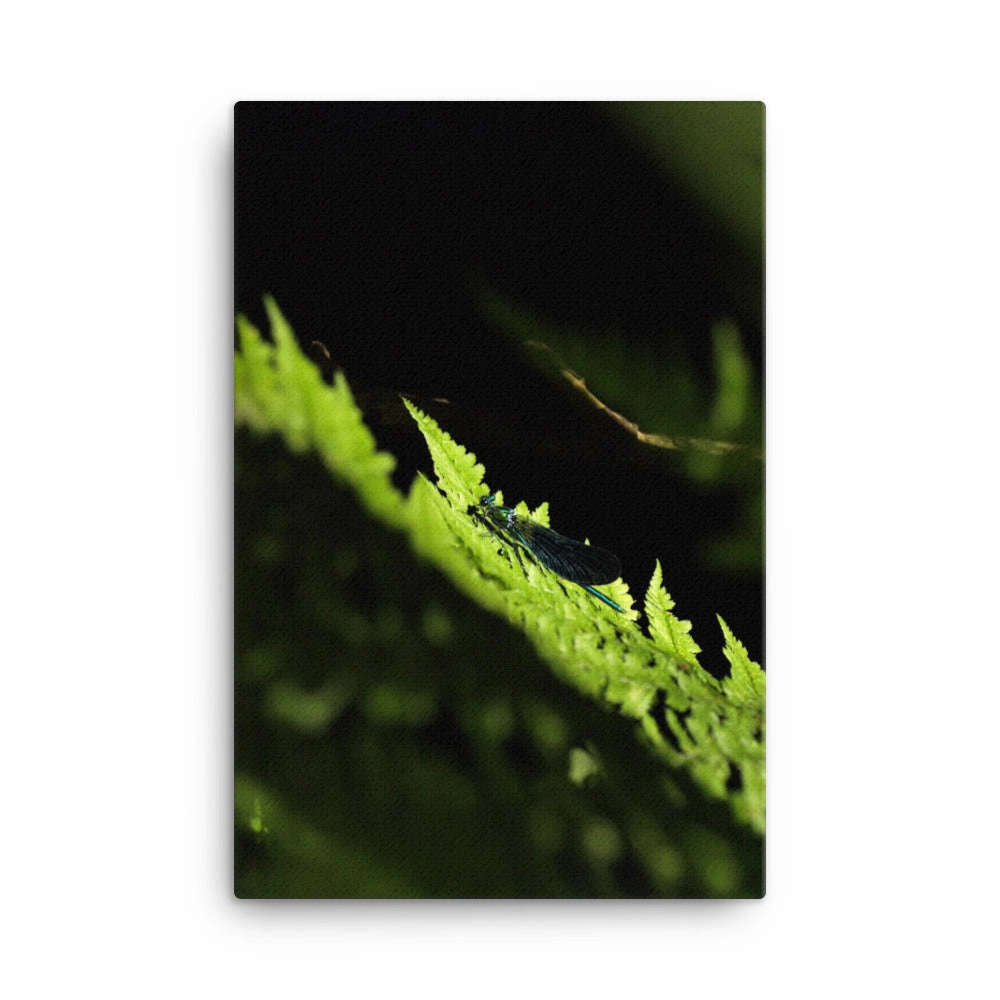 Canvas - Green Dragonfly