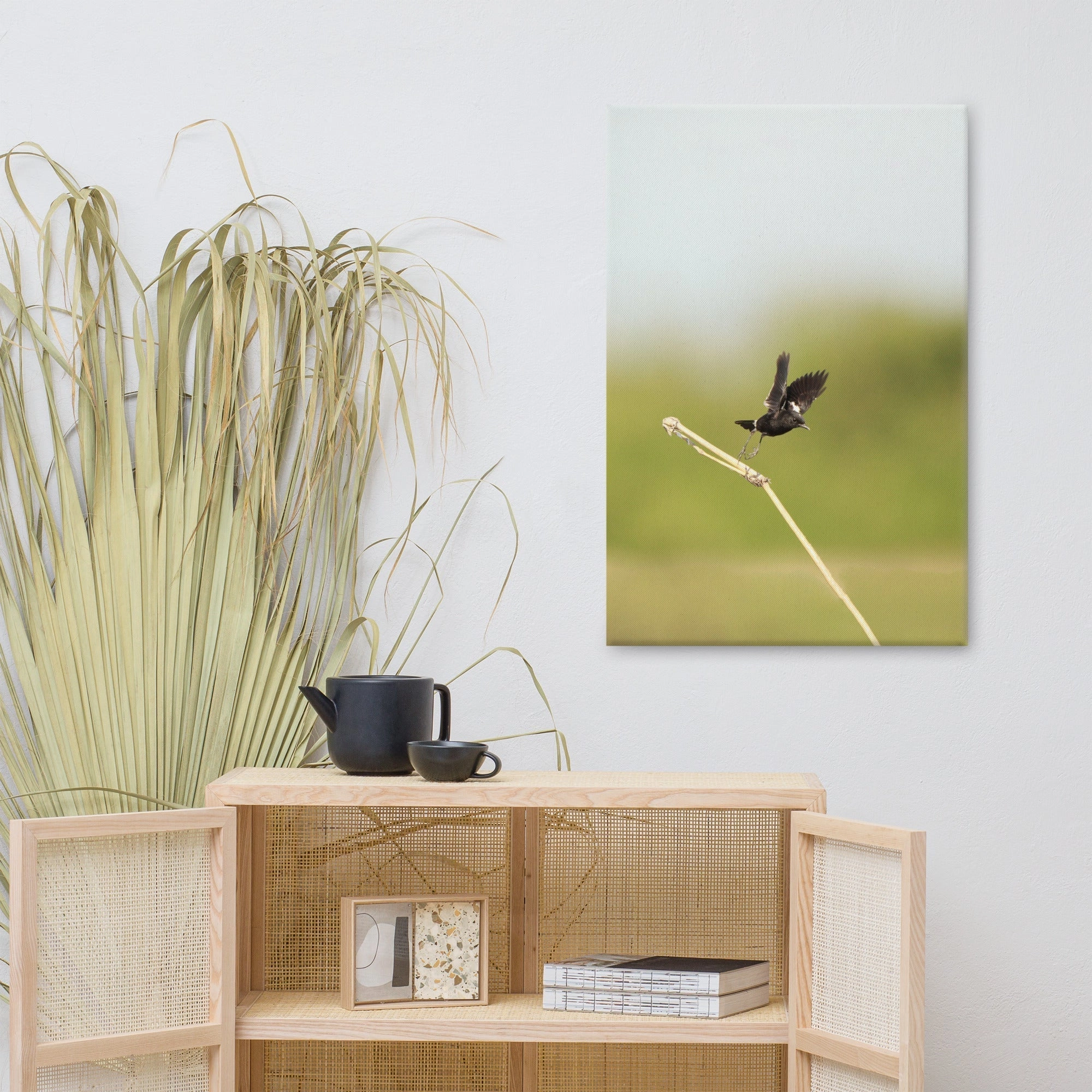 Canvas - Magpie Wheatear