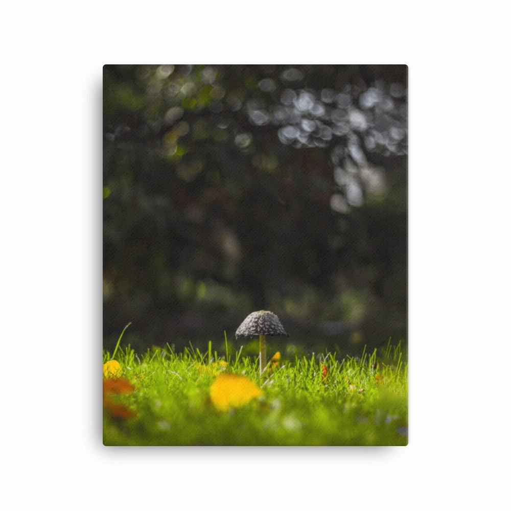 Canvas - mushroom