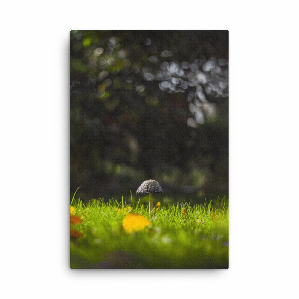 Canvas - mushroom
