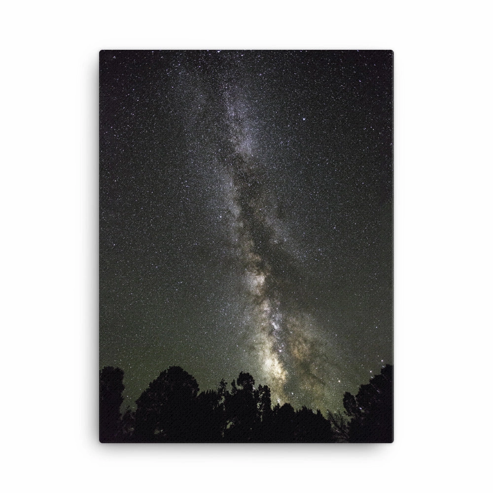 Canvas - starry sky Starry sky canvas mural art
