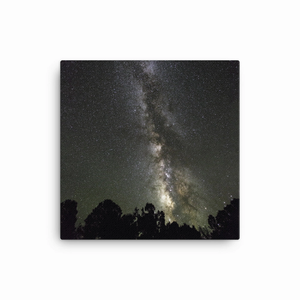 Canvas - starry sky Starry sky