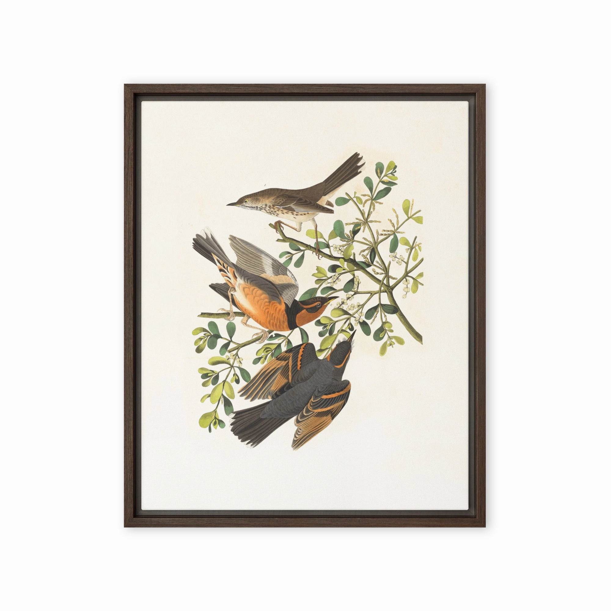 Canvas - Three Birds on Branches