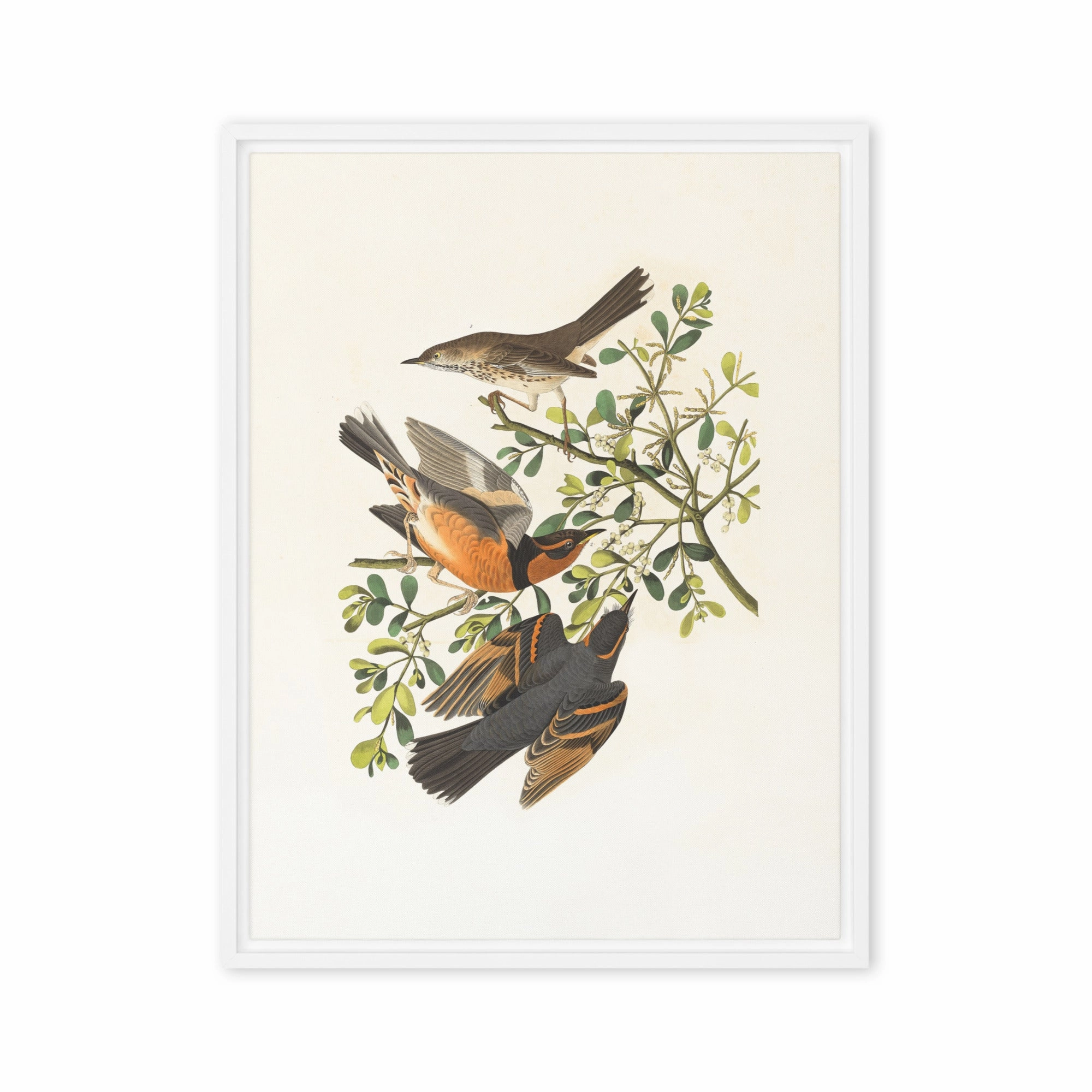 Canvas - Three Birds on Branches