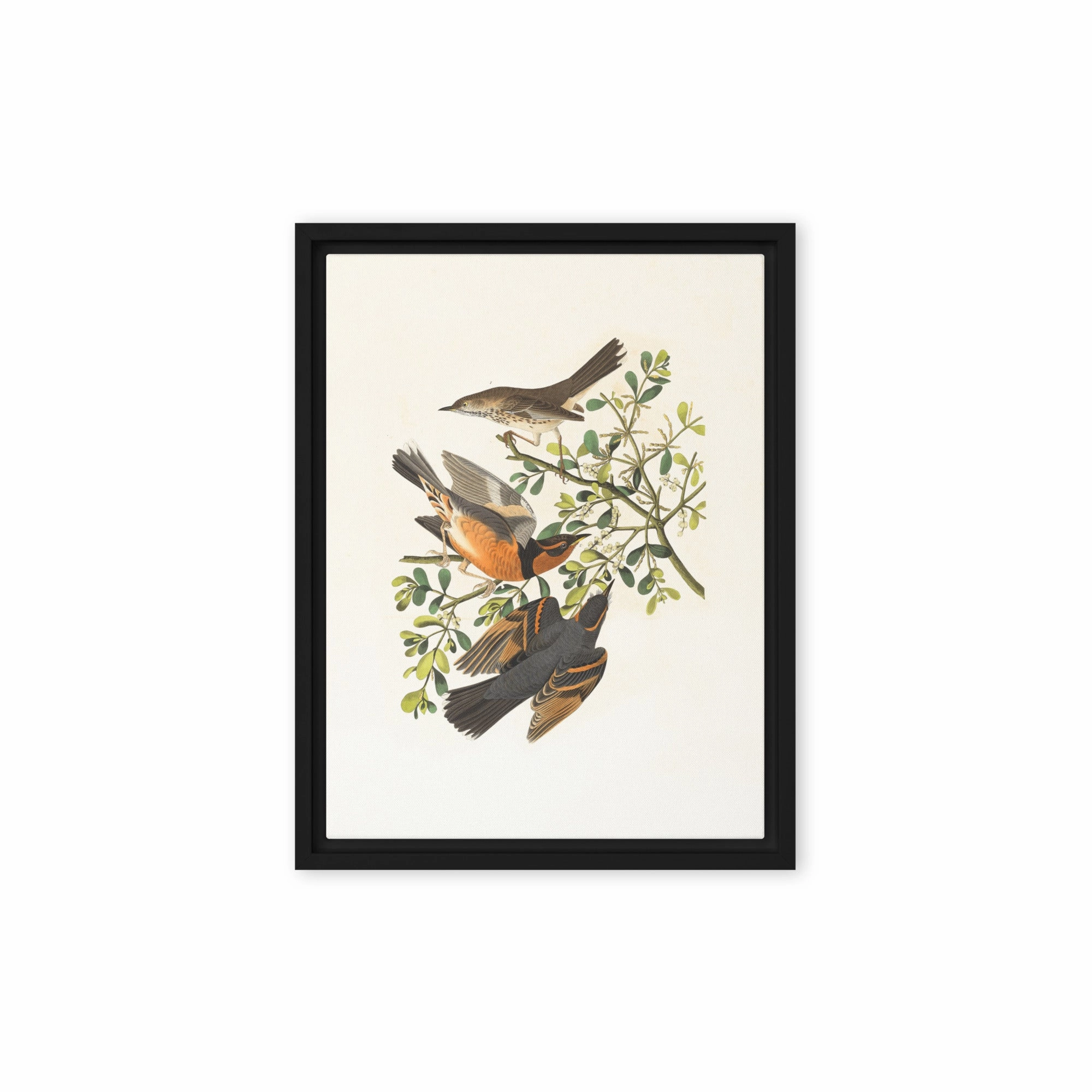 Canvas - Three Birds on Branches