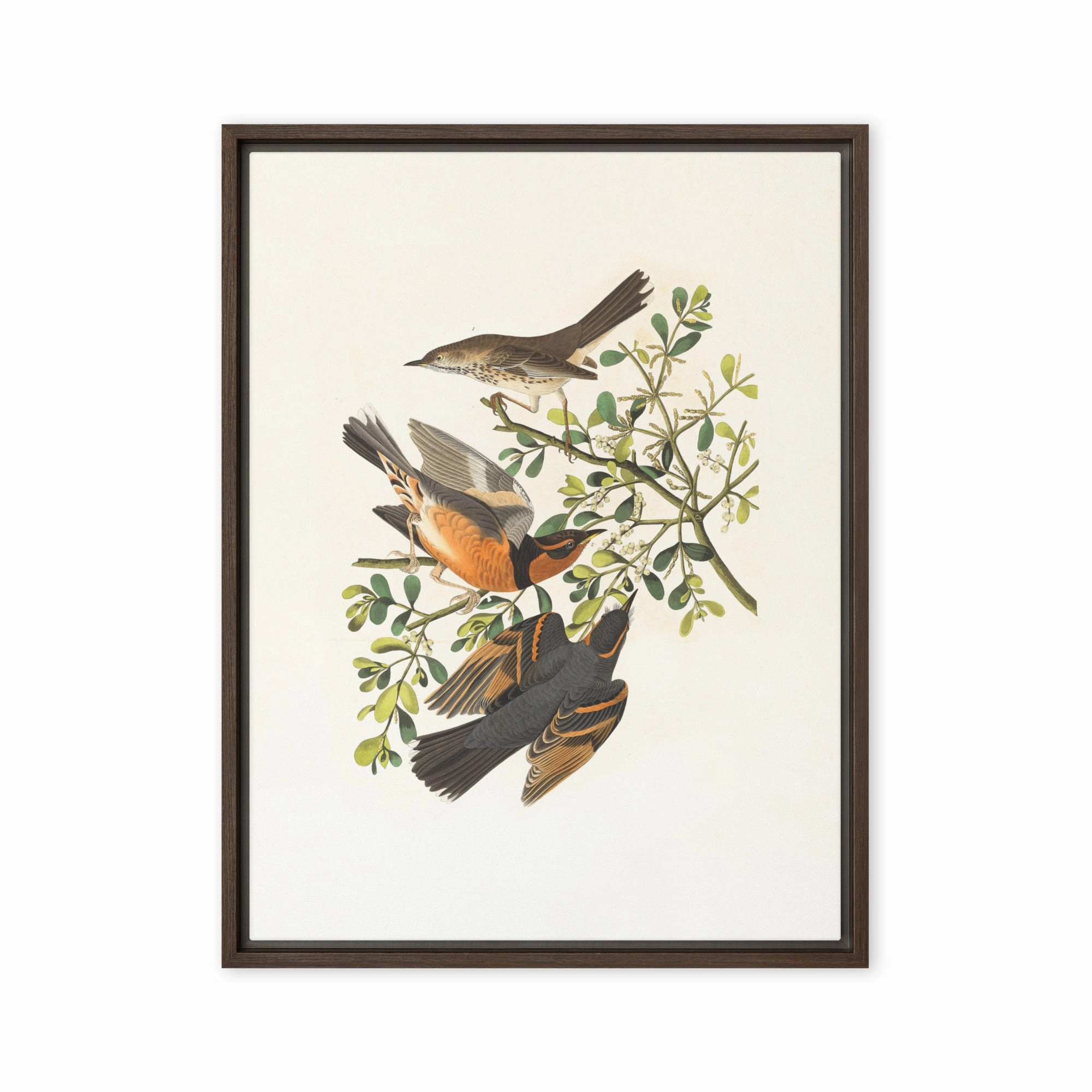 Canvas - Three Birds on Branches canvas mural art