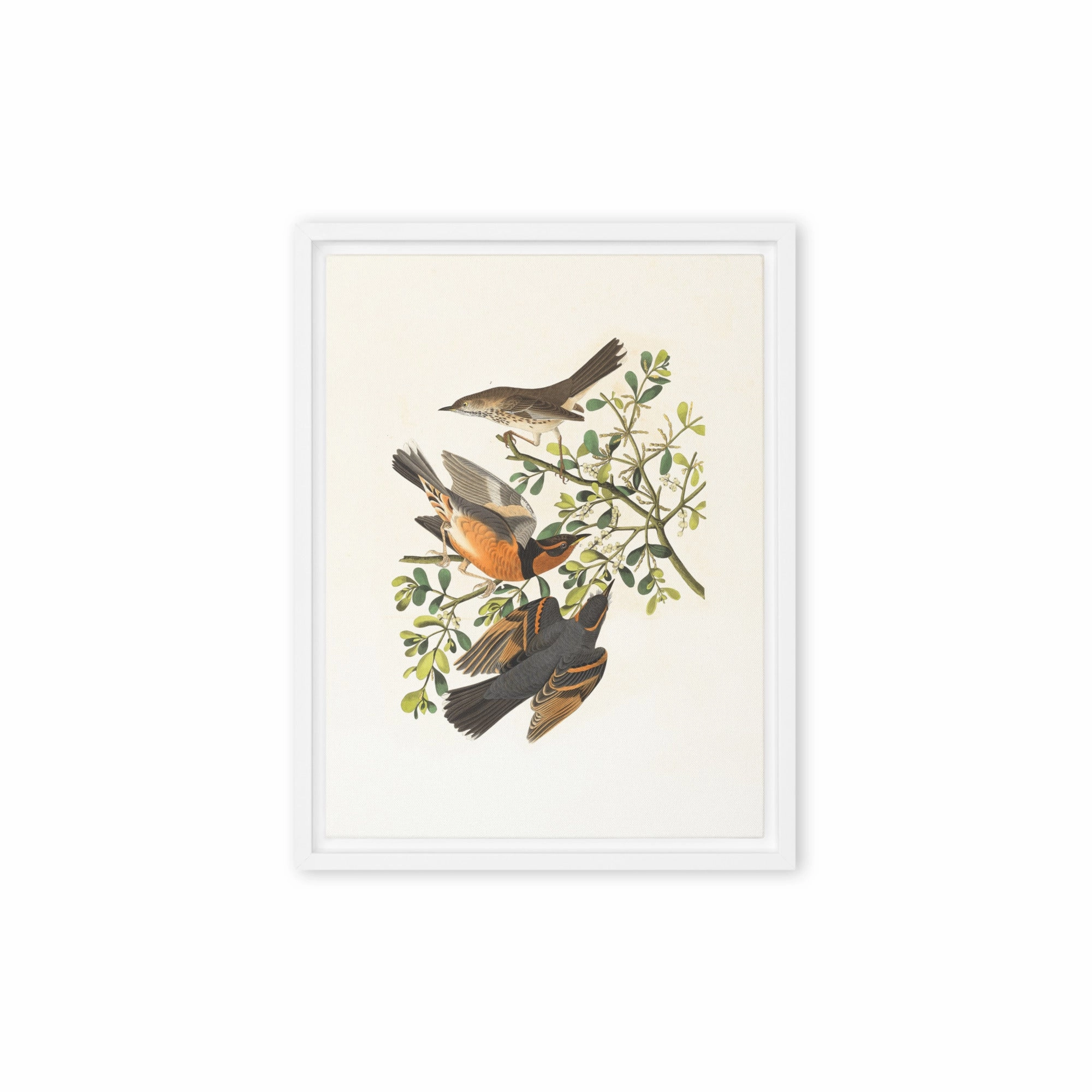Canvas - Three Birds on Branches