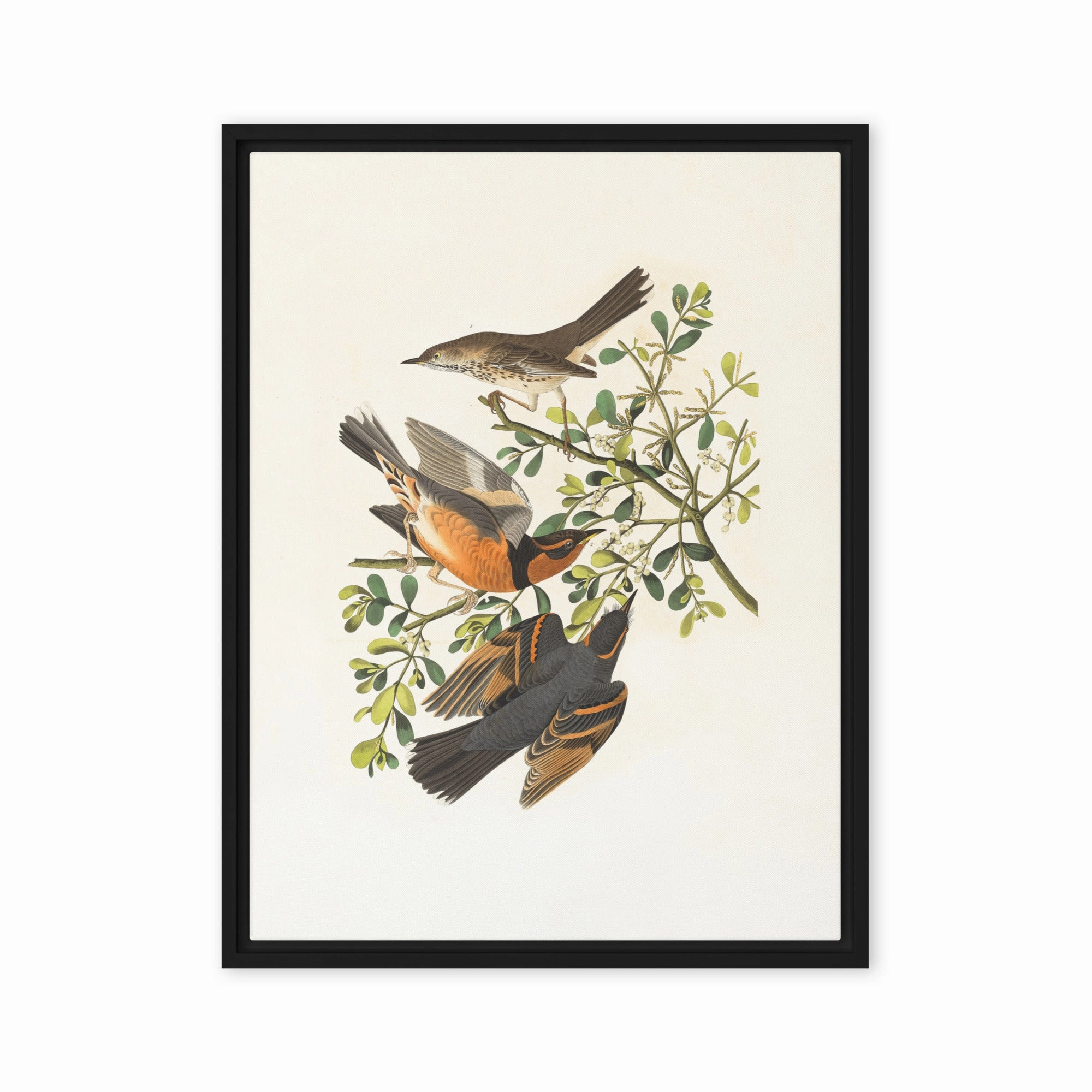 Canvas - Three Birds on Branches