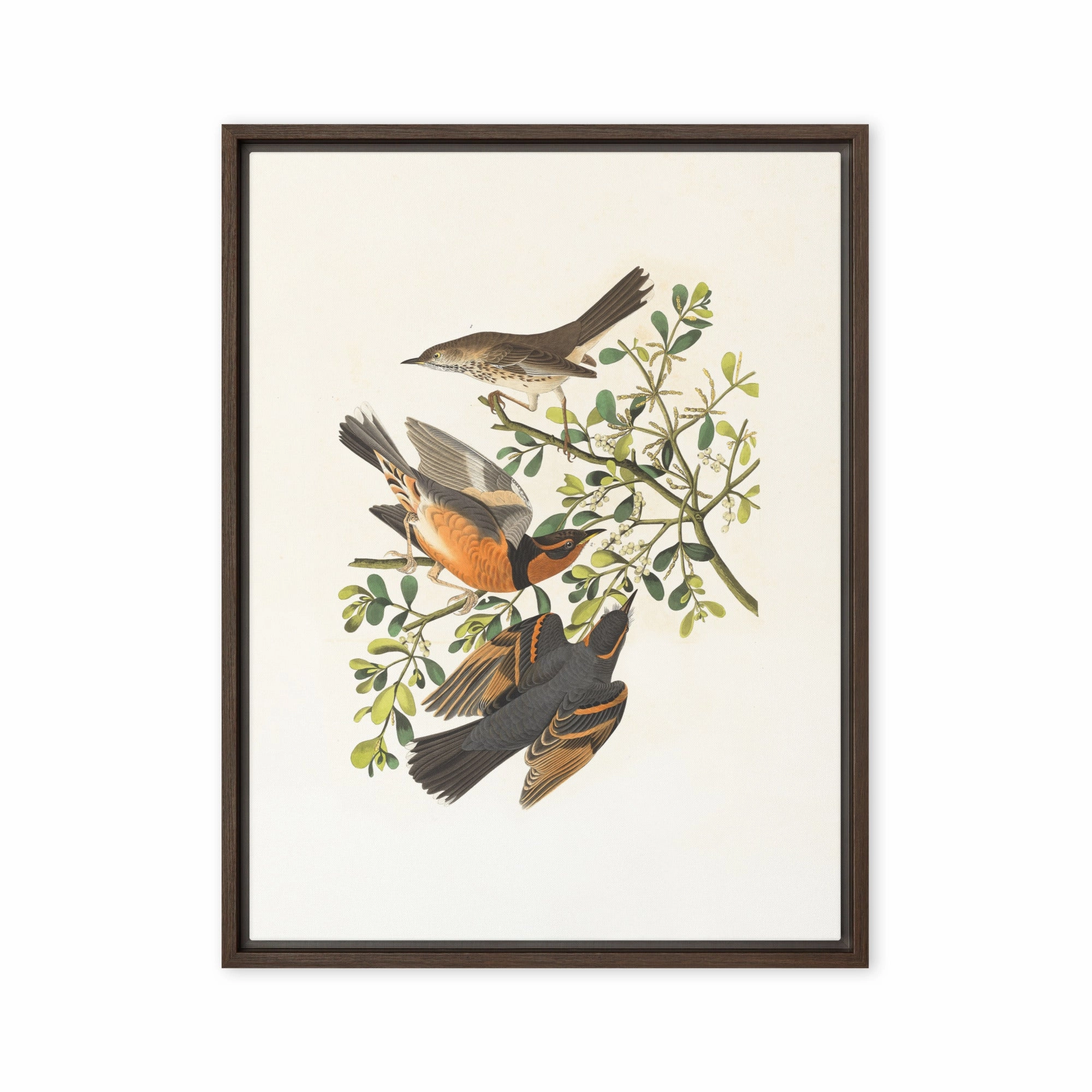 Canvas - Three Birds on Branches