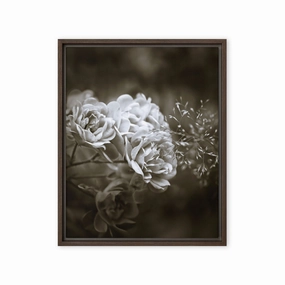 Canvas - White Peonies canvas mural art