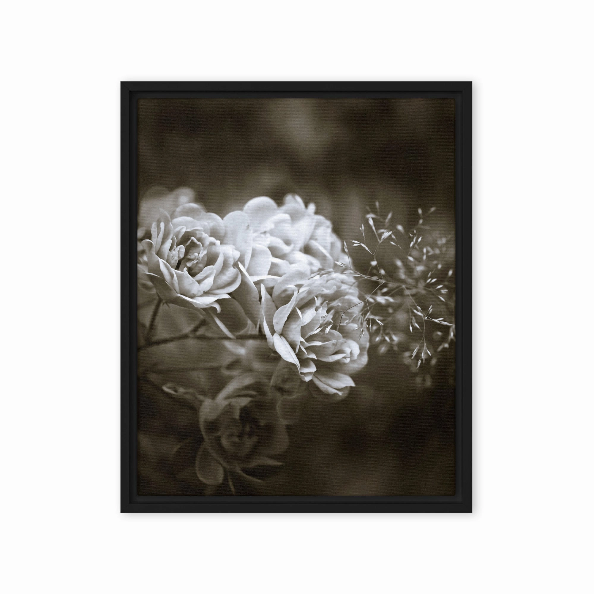 Canvas - White Peonies