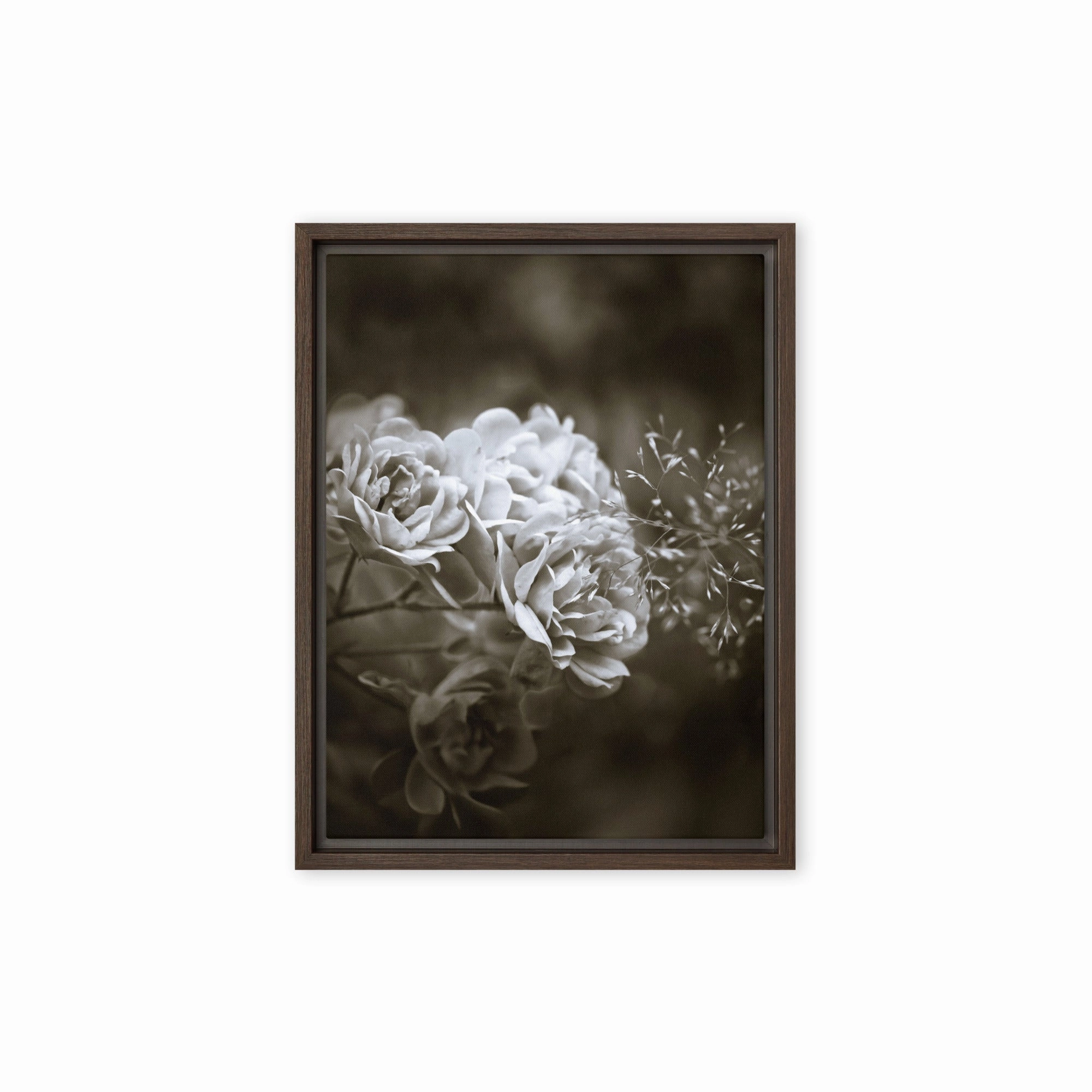 Canvas - White Peonies